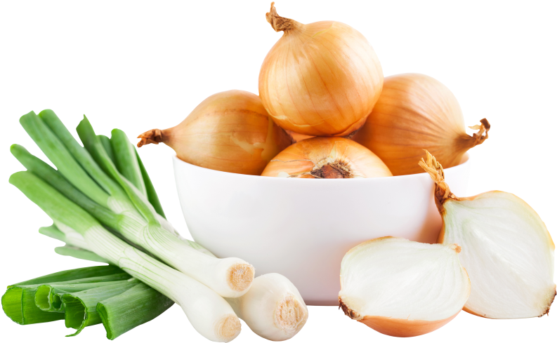 Onions - 戒 五 辛 (866x650), Png Download