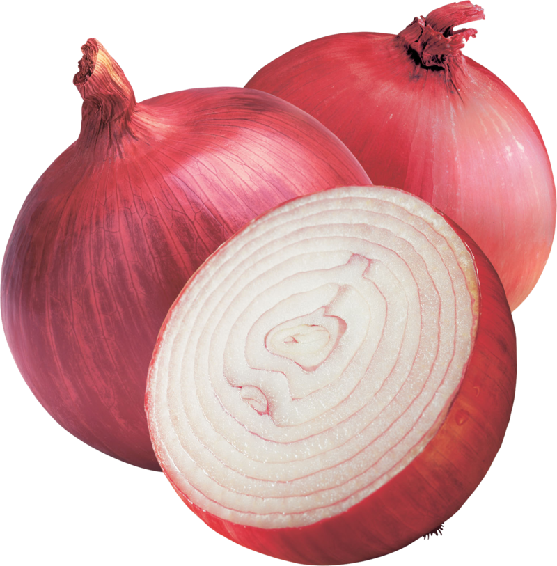 Onion Png Image - Onion Png (800x813), Png Download