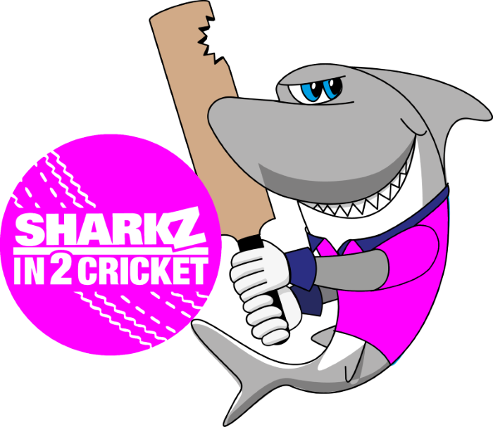 Aldridge Girls Cricket Hubs (700x607), Png Download