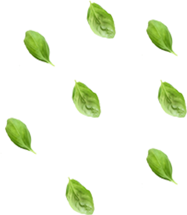 Veggie Wonder - Herbaceous Plant (775x775), Png Download