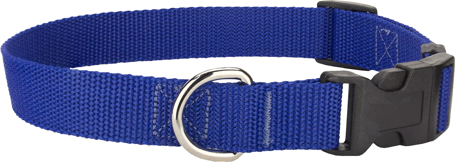 Dog Collar Png - Belt (1567x558), Png Download
