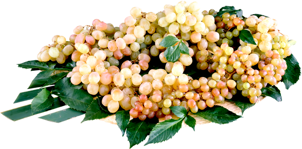 Purple Cartoon Grapes - Fruit (1000x1000), Png Download