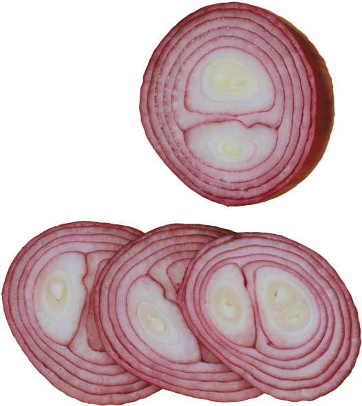 Sliced Onion - Red Onion (866x650), Png Download