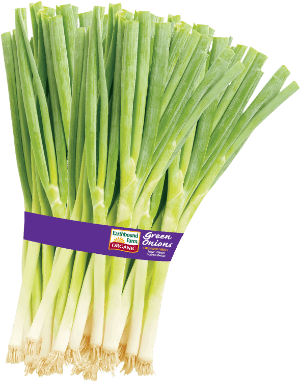 600 X 753 4 - Organic Green Onions (600x753), Png Download