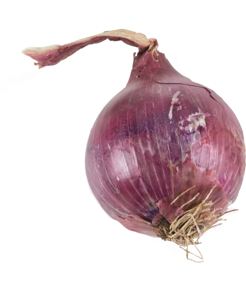 Onion - Red Onion (866x650), Png Download