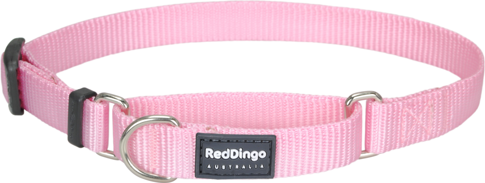 Belt (1000x378), Png Download