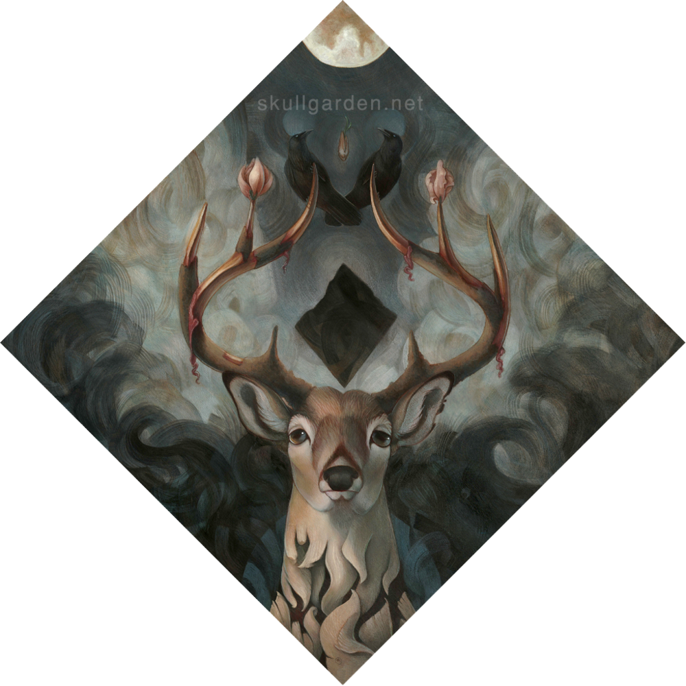 Golden Teacher - Deer (1000x1000), Png Download