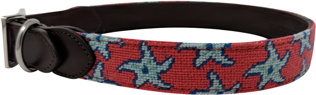 Starfish Nautical Needlepoint Dog Collar Left - Buckle (1024x1024), Png Download