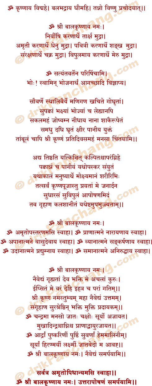 Naivedya Mantra - Document (528x1294), Png Download