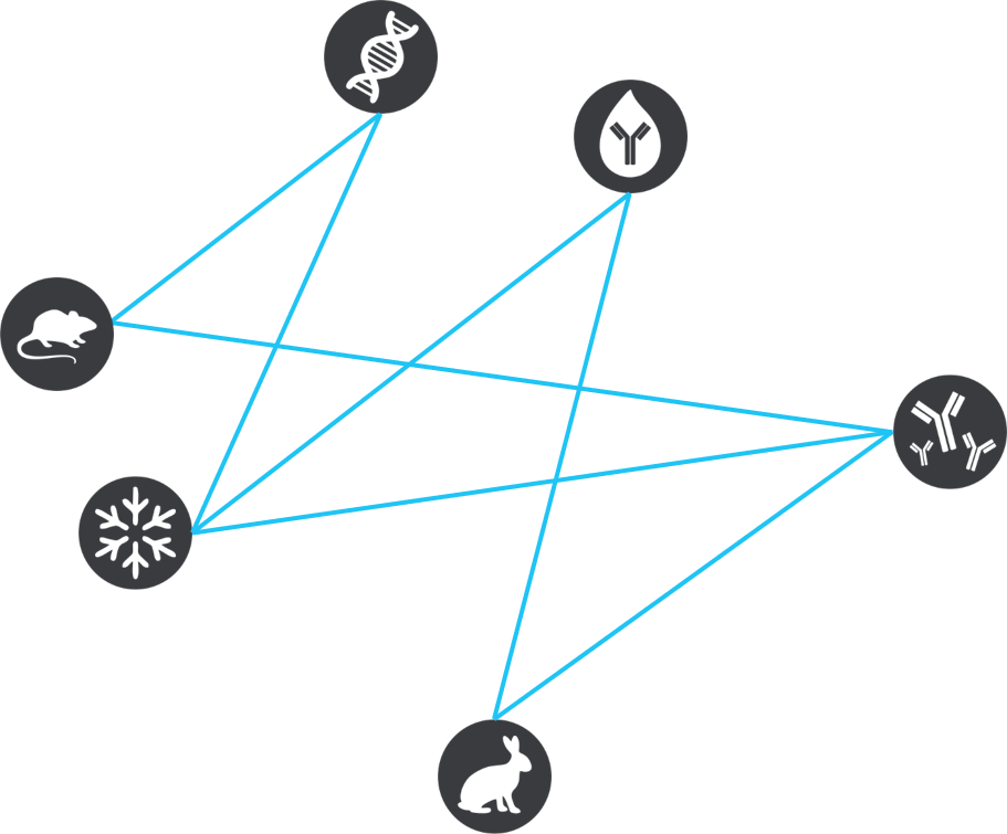 Receive Ipa News & Alerts - Diagram (911x755), Png Download