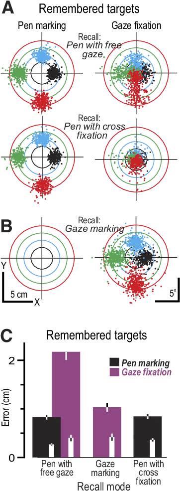 Hand And Gaze Behavior During Recall - Boxing (362x996), Png Download