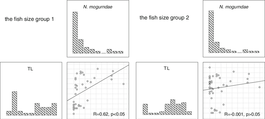 In The Lower Class Of Fish Length , Spearman's Test - Diagram (850x384), Png Download