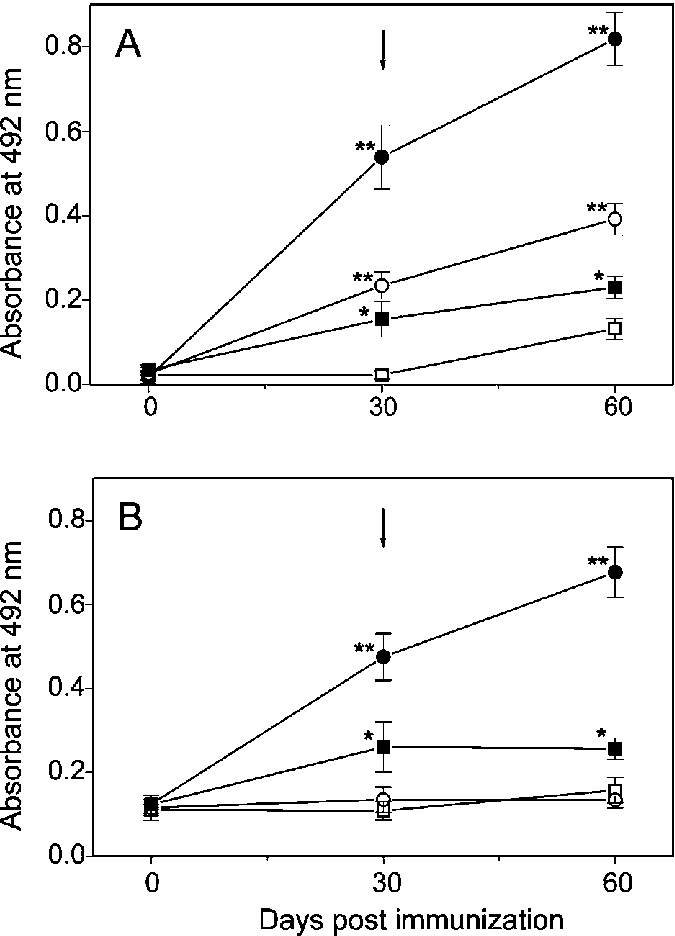 Time Course Of The Anti Philasterides Humoral Response - Diagram (675x936), Png Download