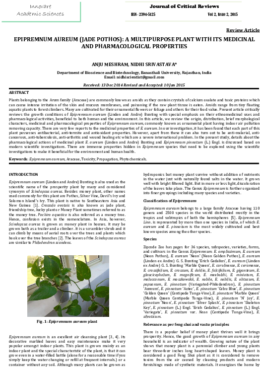 Pdf - Tree (595x842), Png Download