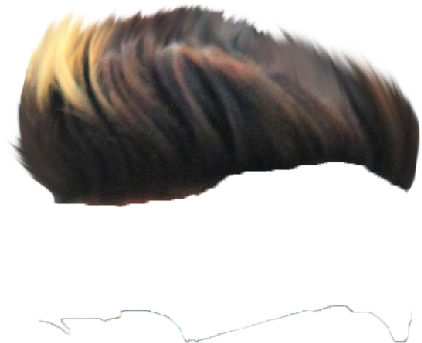 Hair Png ➤ Download - Shell (614x768), Png Download