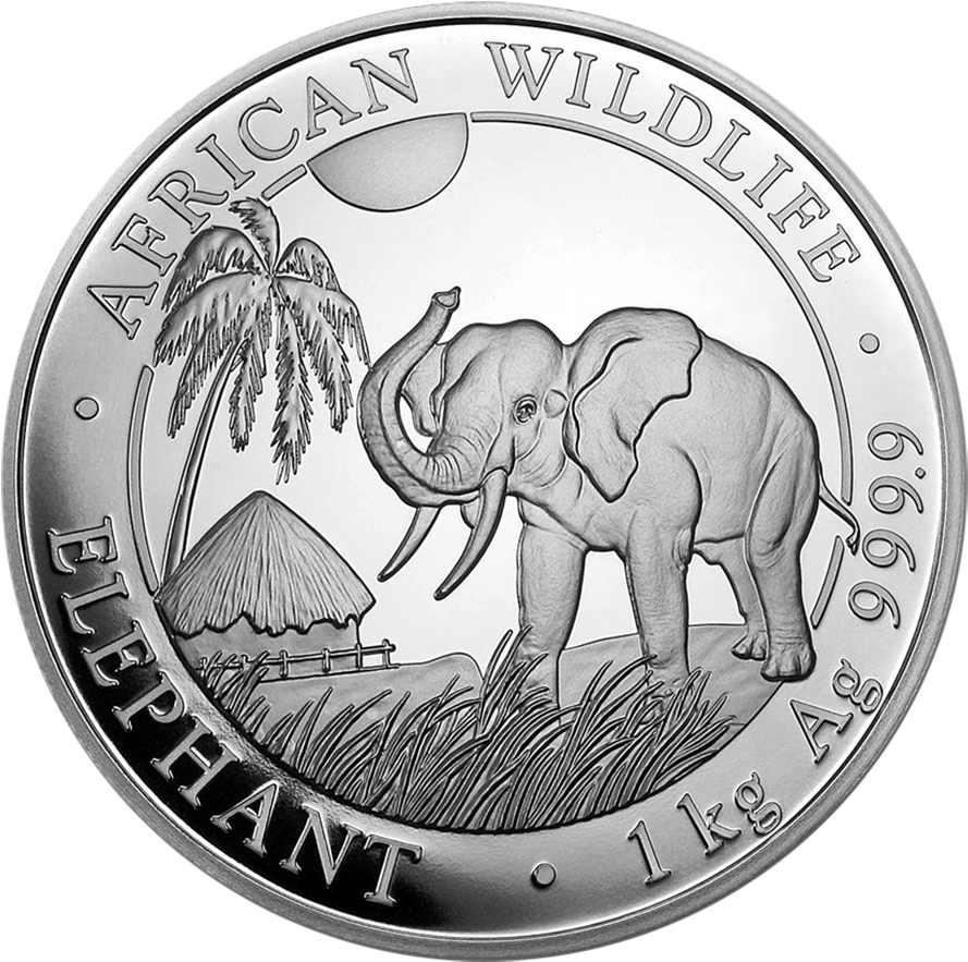 2017 Somalian Elephant 1kg Silver Coin - Silver Britannia 2008 (900x900), Png Download