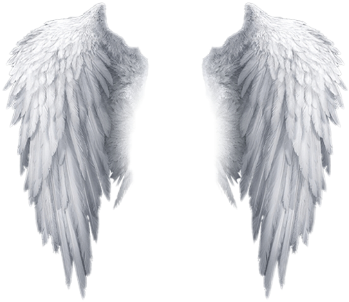 Popular And Trending Feather Stickers On Picsart - Free Png Angel Wings (688x596), Png Download