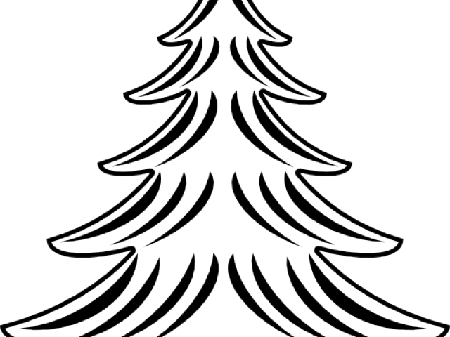 Eastern White Pine Drawings (640x480), Png Download