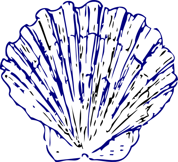 Sea Shell 2 Svg Clip Arts 600 X 544 Px (600x544), Png Download