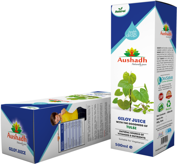 Indian Gooseberry (640x579), Png Download