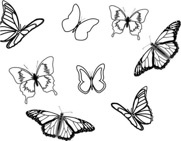 Monarch Butterfly Black And White (640x480), Png Download