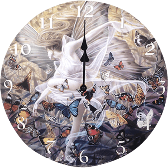 Price Match Policy - Fairy (555x555), Png Download