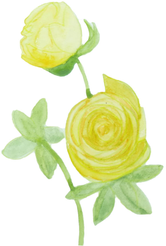 Garden Roses (1000x1000), Png Download