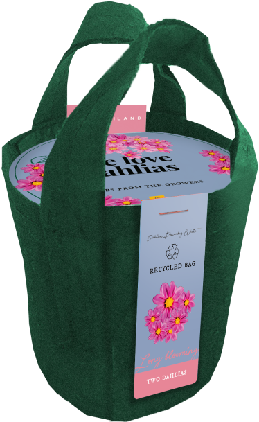 Tuincentrum Koeman Dahlia Bloementas Roze - Diaper Bag (480x640), Png Download