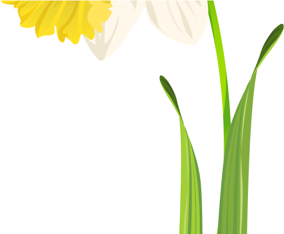 Flowers Color Clipart Single Flower (640x480), Png Download