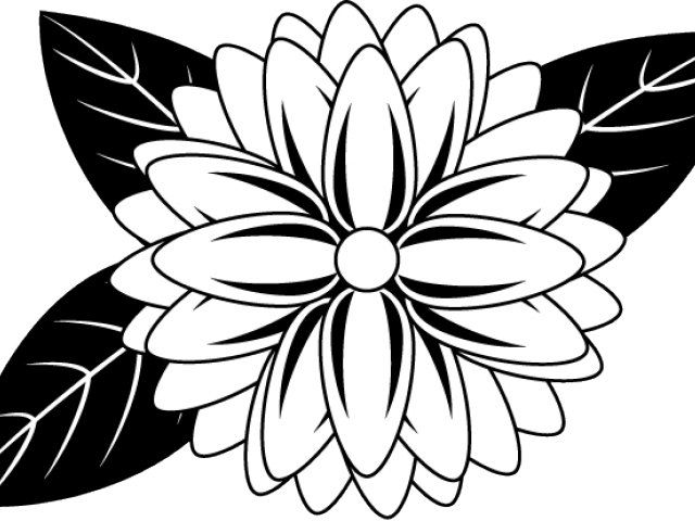 Sunflower (640x480), Png Download