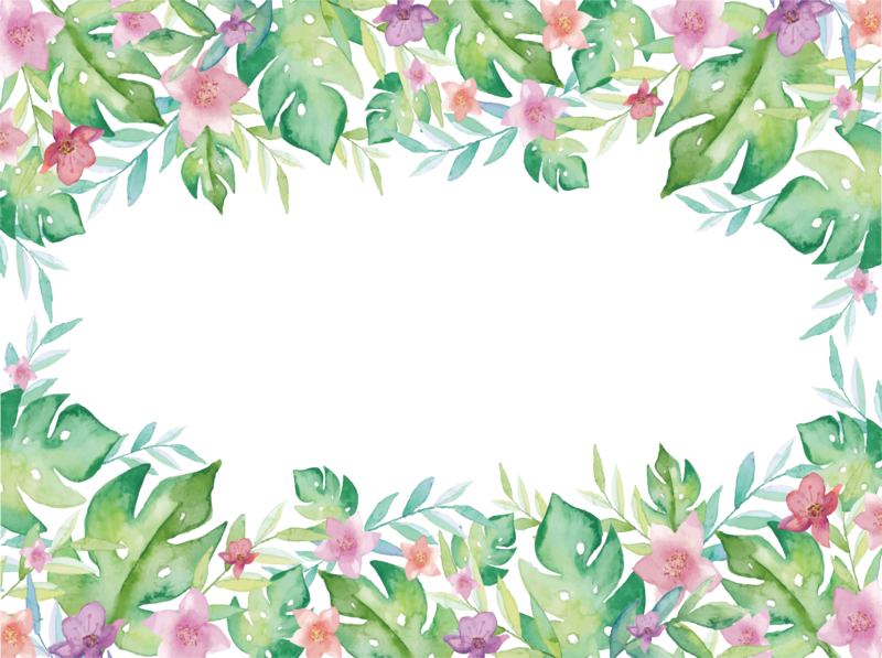 Watercolor Euclidean Plant Vector Border Free Hd Image (800x597), Png Download