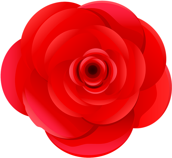 Bleed Area May Not Be Visible (600x546), Png Download
