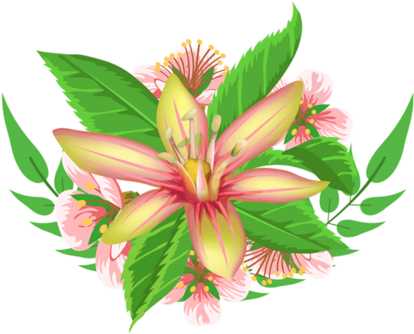 Free Png Download Yellow Flower Decorative Element - Portable Network Graphics (850x692), Png Download