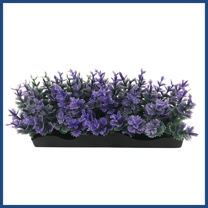 View Larger - Hyacinth (680x680), Png Download