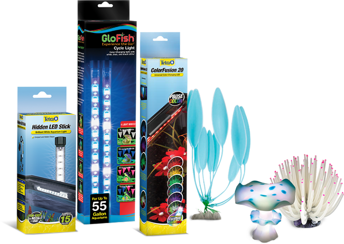 Lighting Is Essential For The Healthy Growth Of Fish, - Action Figure (700x496), Png Download