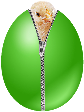 Circle (495x640), Png Download