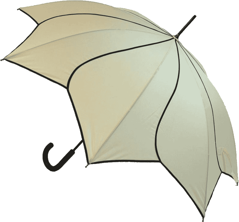 Beige Flower Umbrella - Umbrella (800x800), Png Download