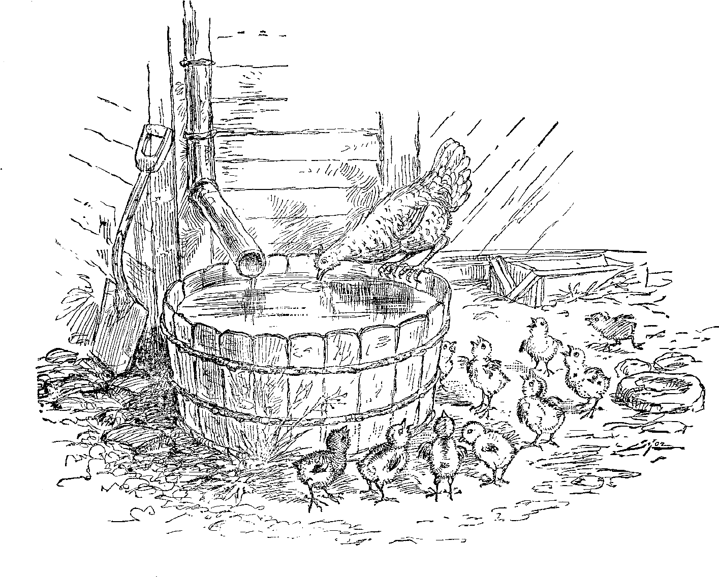 Chicken Hen Chicks Image Farm - Line Art (1474x1207), Png Download