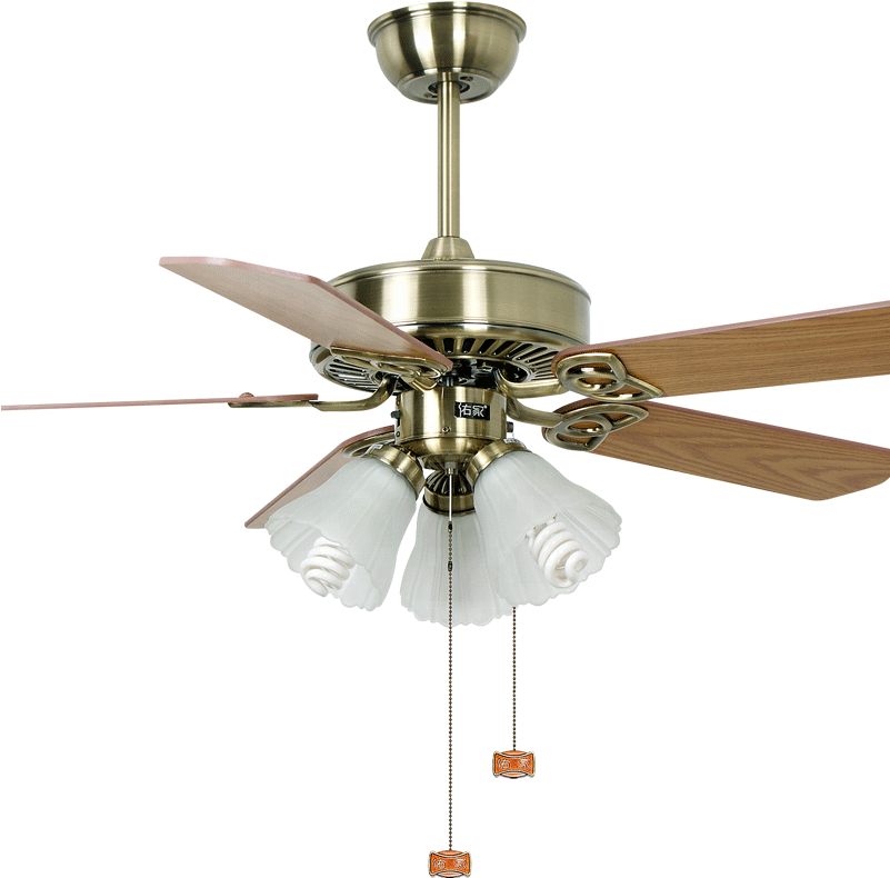 Iron Design Decoration Light Pull Chain Speed Control - Ceiling Fan (800x800), Png Download