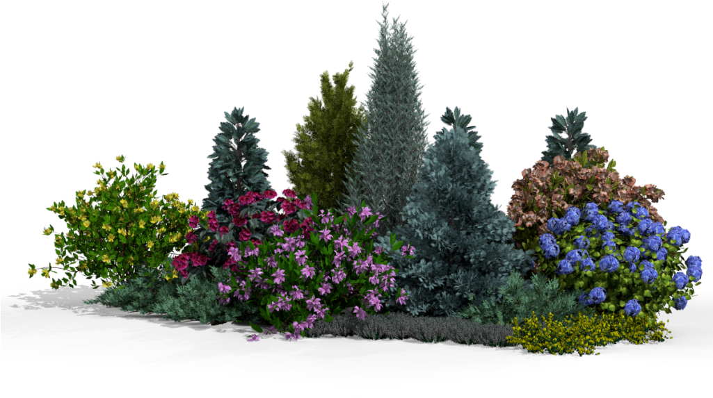Over 800 Plant Species - Lobelia (1024x853), Png Download