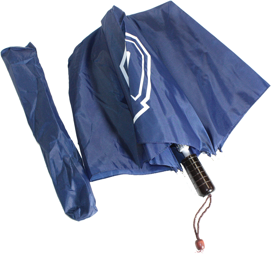 Folding Umbrella Folding Umbrella - Umbrella (1000x1000), Png Download