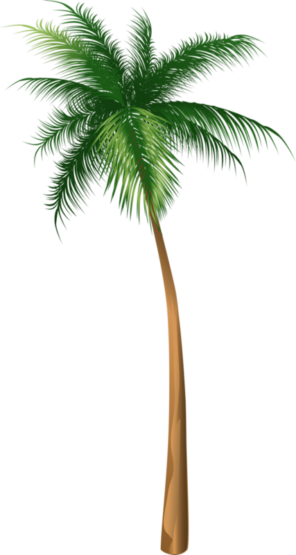 Arecaceae Coconut Tree Illustration Hq Image Free Png - Coconut Tree Illustration (427x800), Png Download