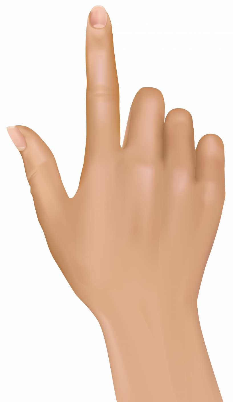 Hand Index Finger Png (817x1408), Png Download