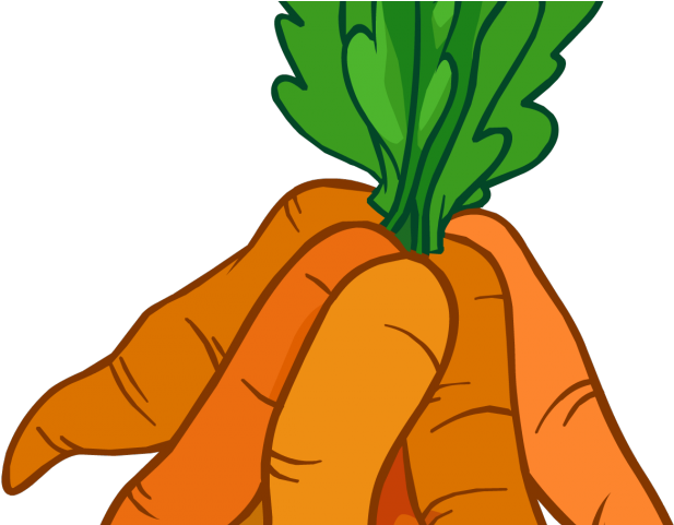 Welcome Clipart Carrot - Clipart Bunch Of Carrots (640x480), Png Download