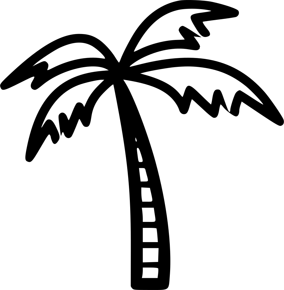 Coconut Tree Comments - Coconut (960x980), Png Download