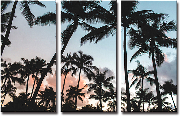 Palm Trees Background Hd (700x700), Png Download