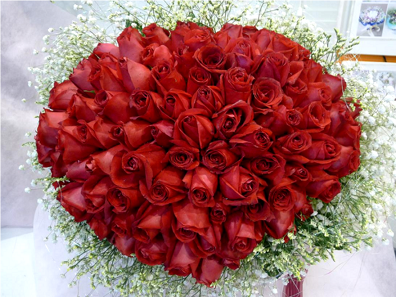 Hb R59 Love Forever - Garden Roses (800x800), Png Download