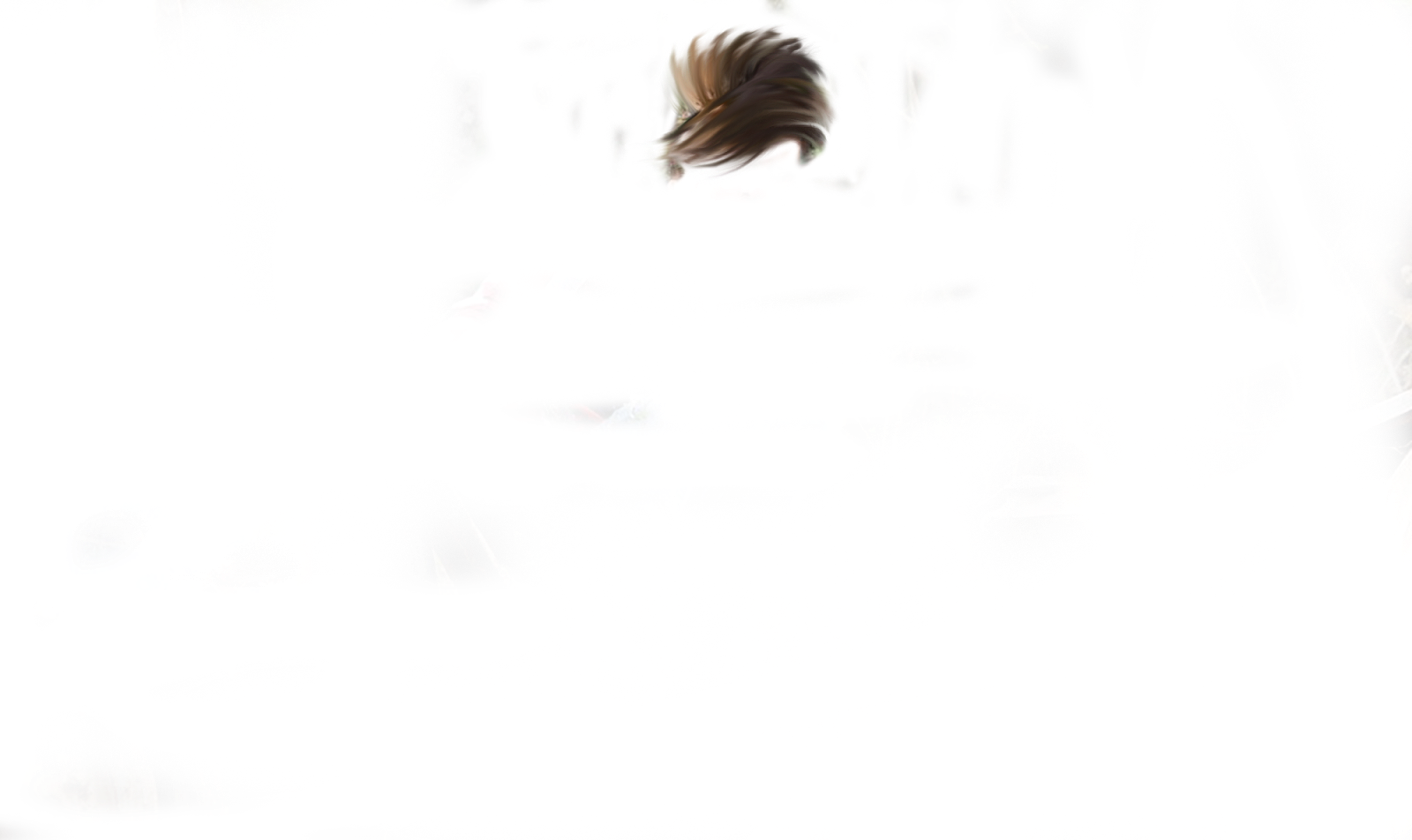 Download Please Remember If You Don't Need High Size Zip File - Skunk PNG Image with No Background Download Please Remember If You Don't Need High Size Zip File - Skunk PNG Image with No Background