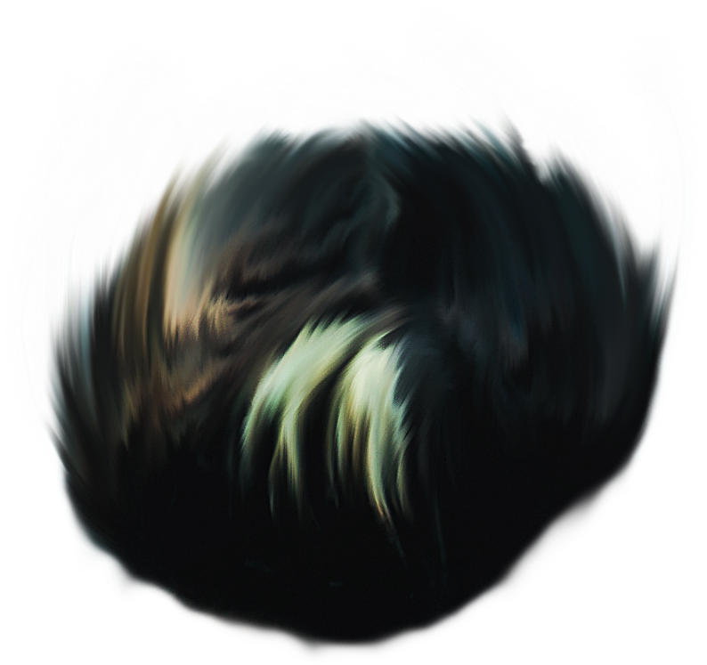 Hair Png ➤ Download - Insect (993x1377), Png Download