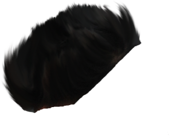 Download Hair Png ➤ Download - Lace Wig PNG Image with No Background - Download Hair Png ➤ Download - Lace Wig PNG Image with No Background -